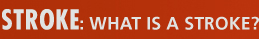 STROKE: WHAT IS A STROKE?